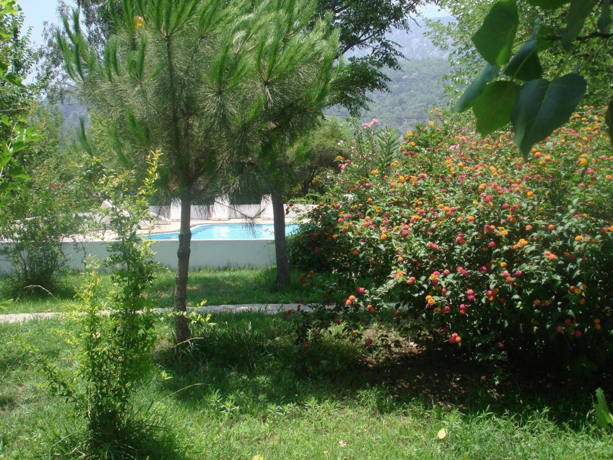 Fire Otel Çıralı