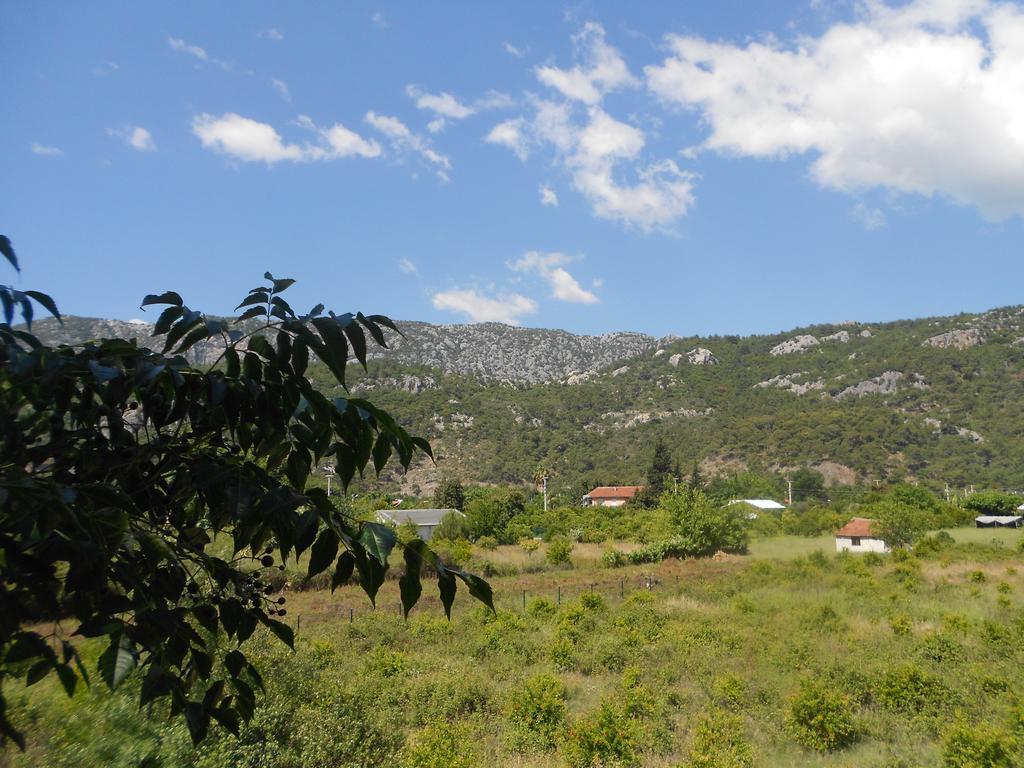 Fire Çıralı