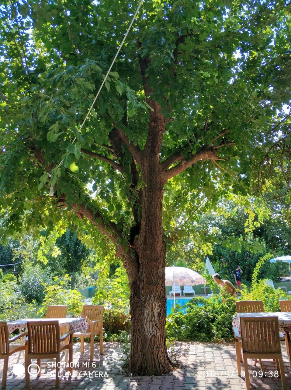 Fire Otel Çıralı